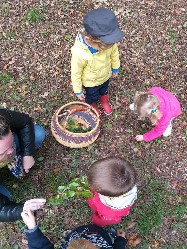 Sortie au parc du Bois Vert